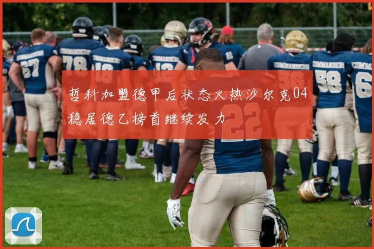 哲科加盟德甲后状态火热沙尔克04稳居德乙榜首继续发力
